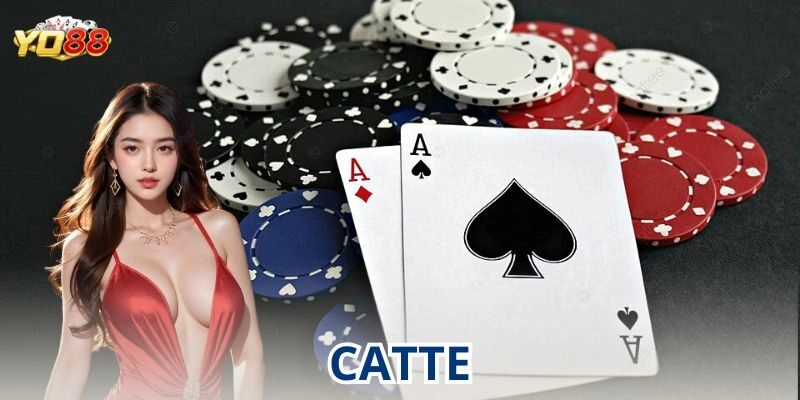 Chiến thuật chơi catte để luôn có lợi thế