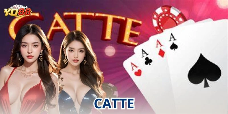 Những lưu ý quan trọng khi chơi catte