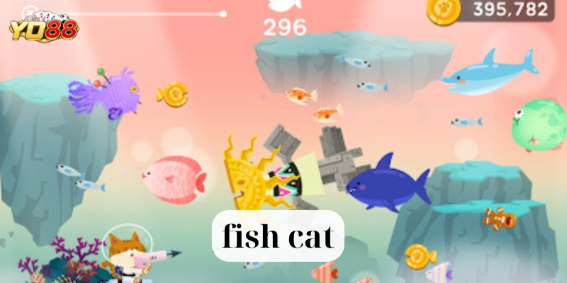 Fish Cat là gì? 